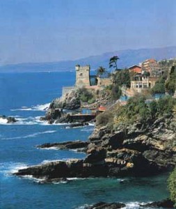 Nervi